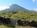 Pico mountain: Pico mountain